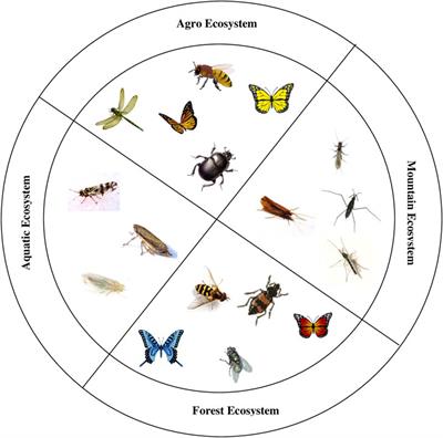 Pests And Their Role In Ecosystems
