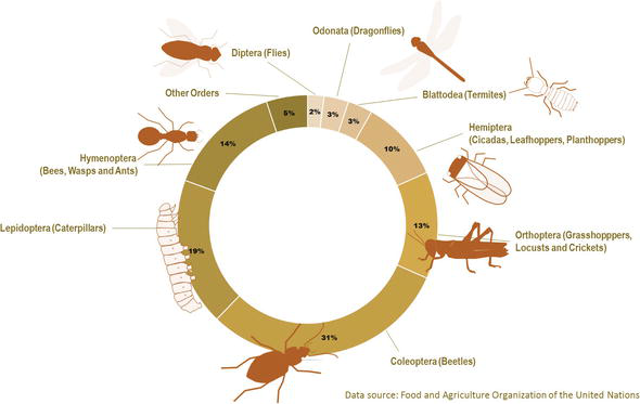 Pests And Their Role In Ecosystems