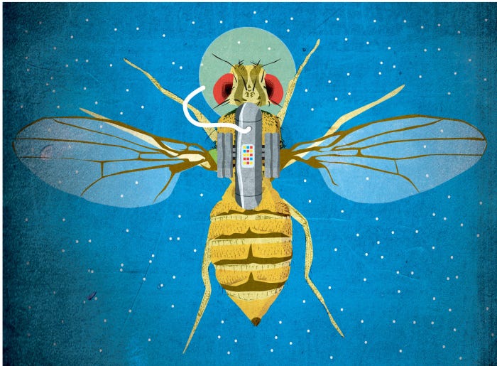 Pests In Space: The Final Frontier