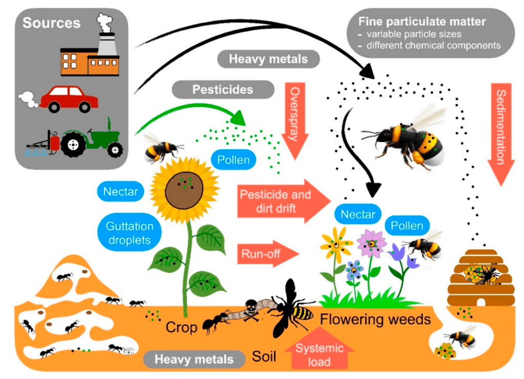 Pests In Urban Vs. Rural Settings: A Comparative Study