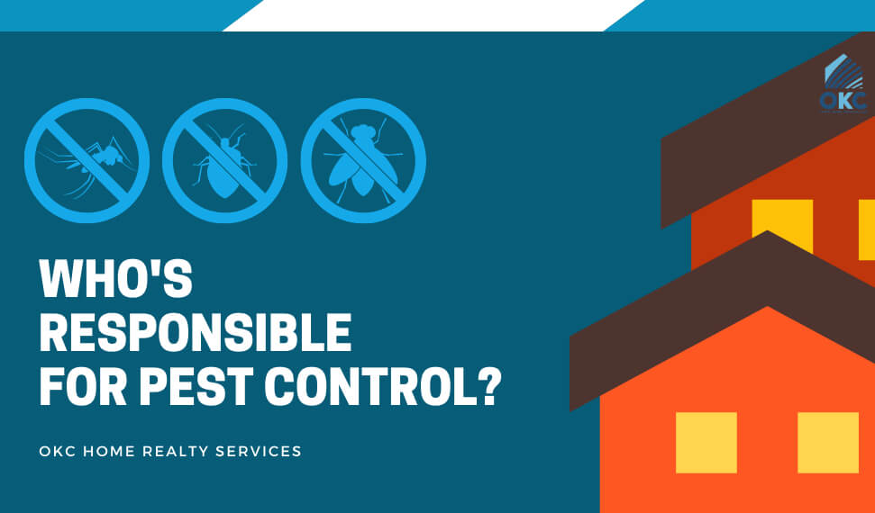Renting Dilemmas: Whos Responsible For Pest Control?