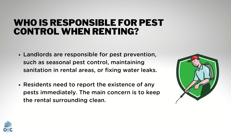Renting Dilemmas: Whos Responsible For Pest Control?