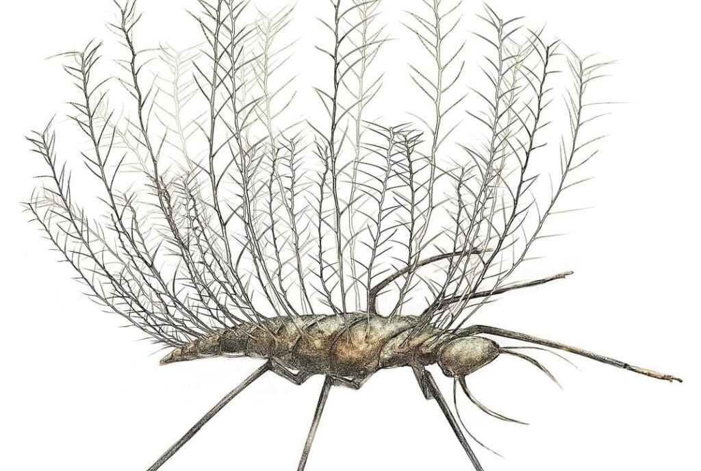 The Art Of Camouflage: Pests And Their Disguises
