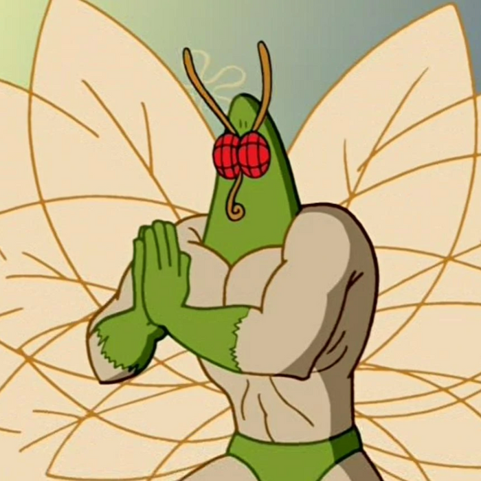 The Art Of Natural Moth Deterrence