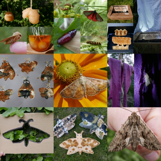 The Art Of Natural Moth Deterrence