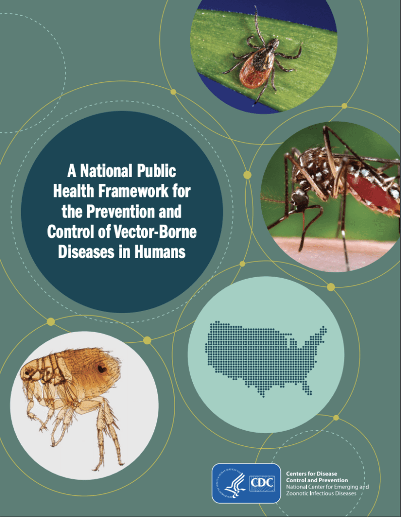 The Battle Against Mosquito-Borne Diseases