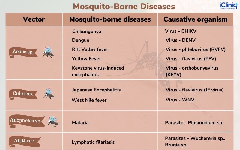 The Battle Against Mosquito-Borne Diseases