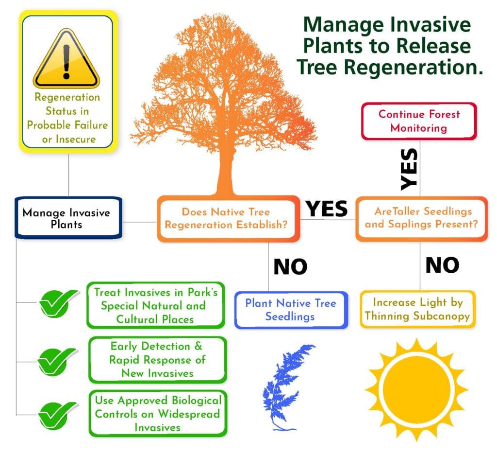 The Challenge Of Managing Invasive Pest Species