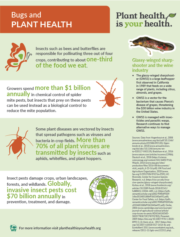 The Cultural Significance Of Pests