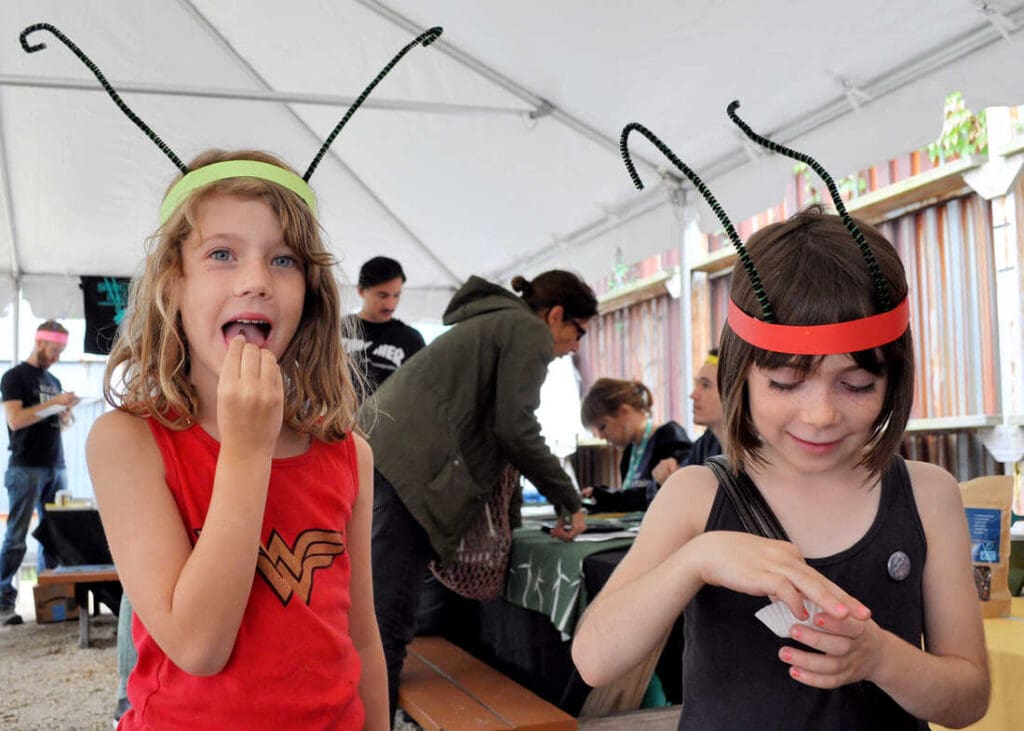 The Cultural Significance Of Pests In Festivals