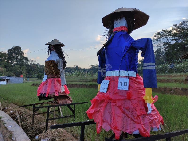 The Cultural Significance Of Pests In Festivals