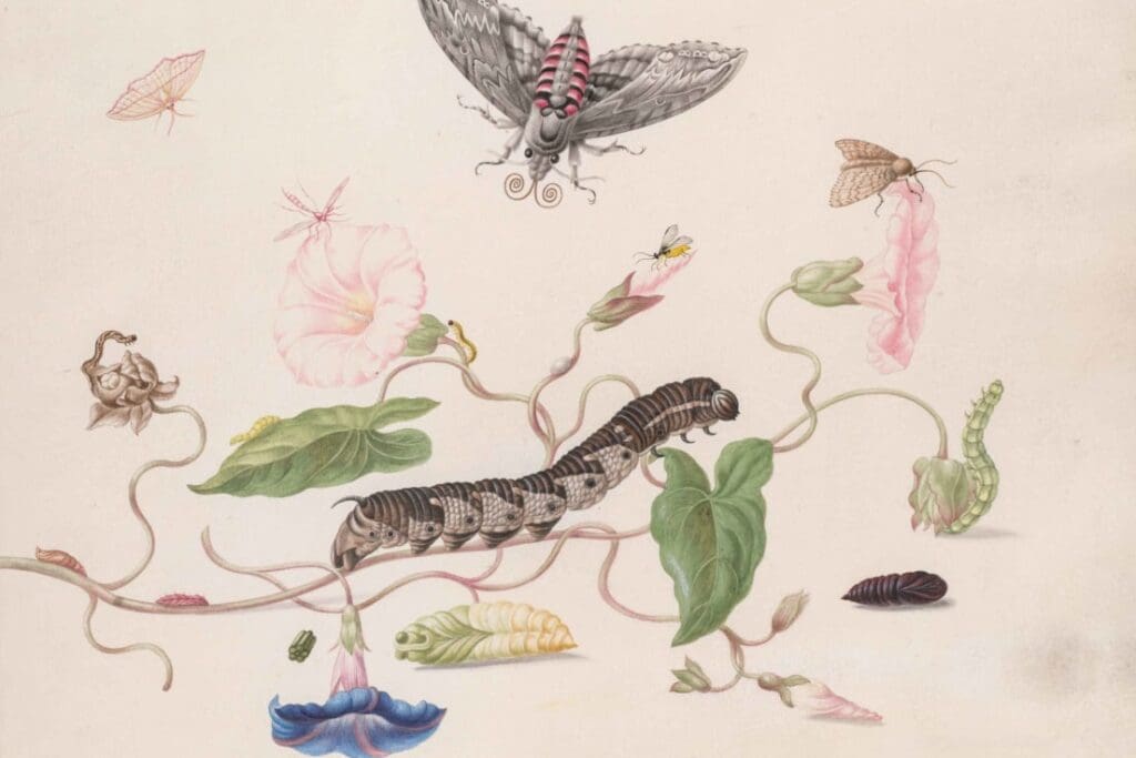 The Cultural Significance Of Pests In Literature And Art