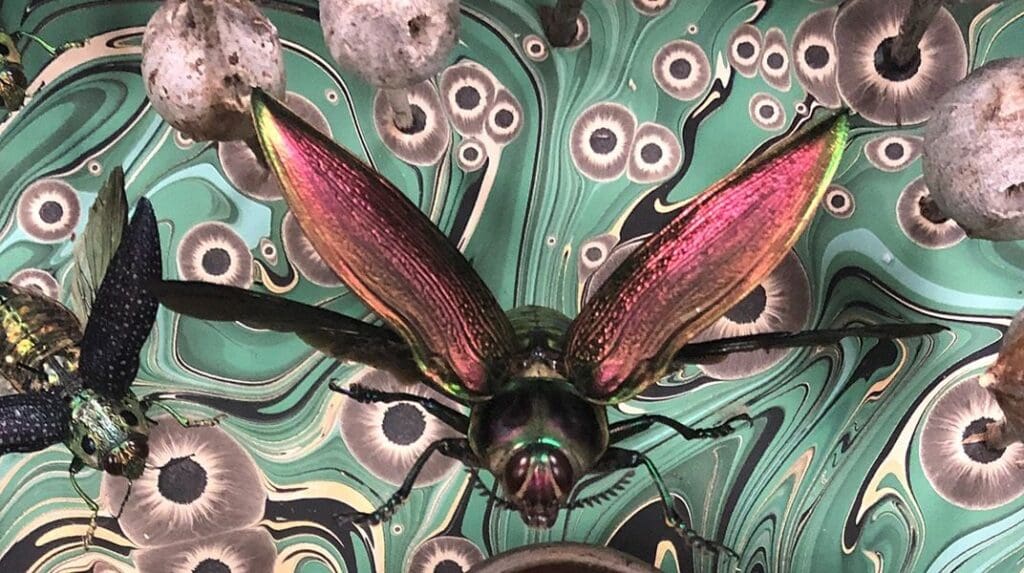 The Cultural Significance Of Pests In Literature And Art