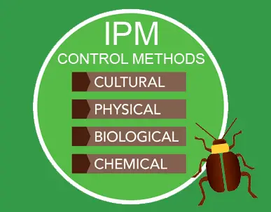 The Cultural Significance Of Pests