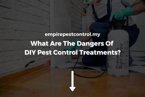 The Dangers Of DIY Pest Control: What You Should Know