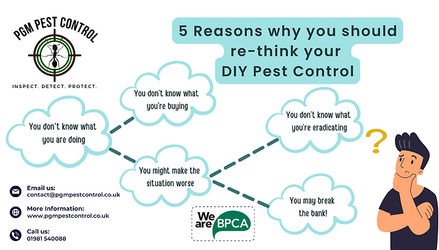 The Dangers Of DIY Pest Control: What You Should Know