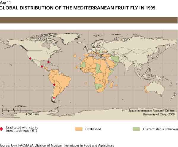 The Economic Impact Of Pests On Agriculture