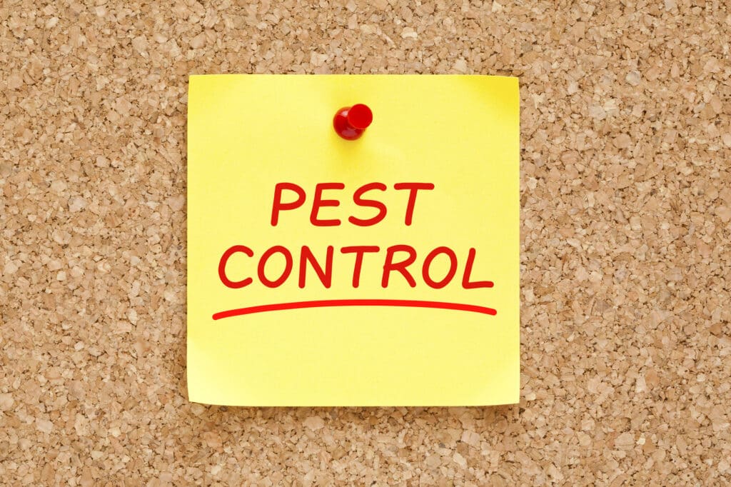 The Essential Guide To Safe Pest Control For Households With Children