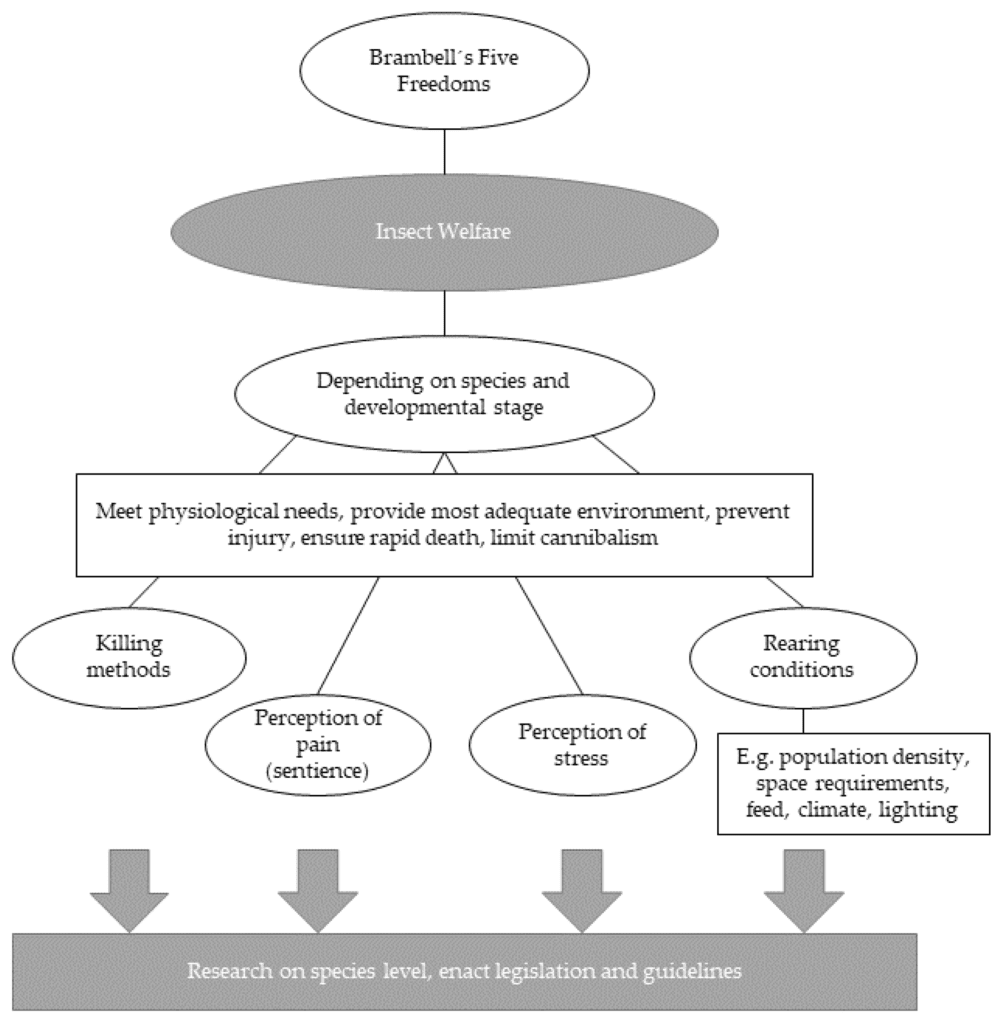 The Ethics Of Pest Control: A Balanced Perspective
