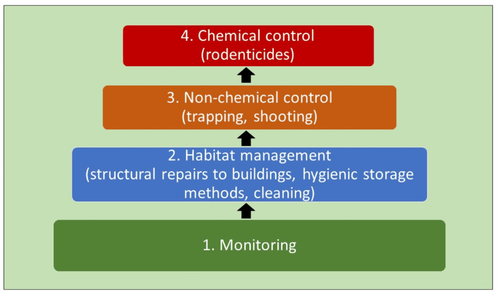 The Ethics Of Pest Control: A Balanced Perspective