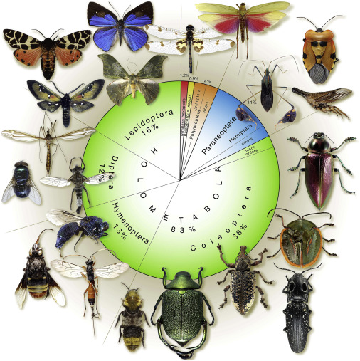 The Evolution Of Pests: A Historical Perspective