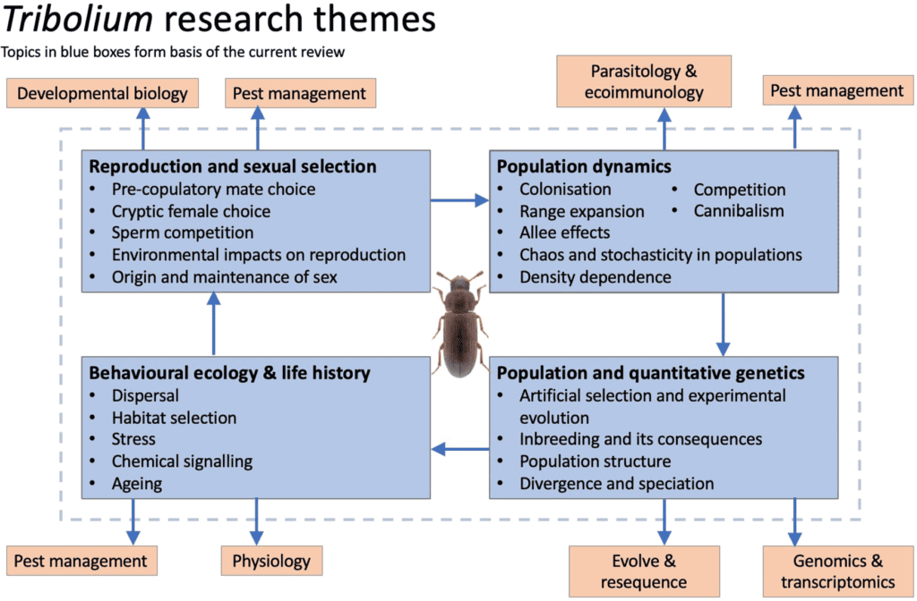 The Evolution Of Pests: A Historical Perspective