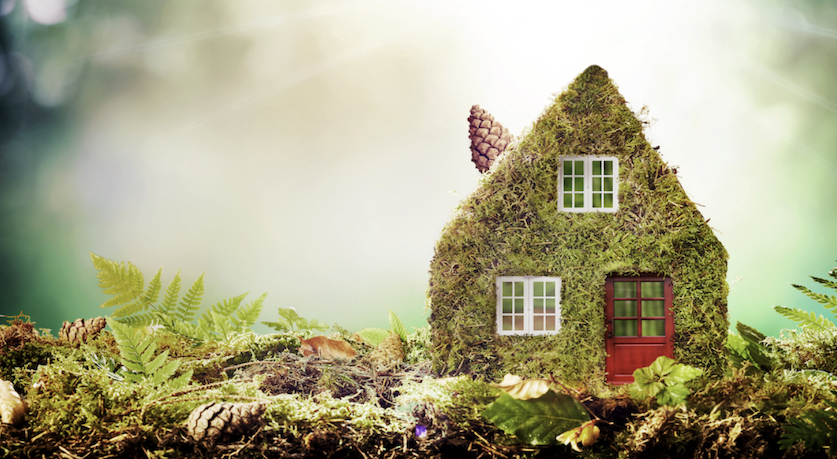 The Future Of Eco-Friendly Pest Control Solutions