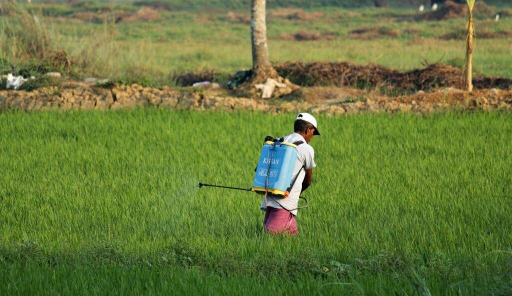 The Future Of Eco-Friendly Pest Control Solutions