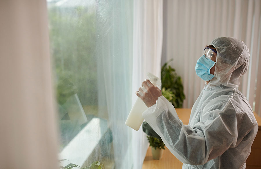 The Future Of Eco-Friendly Pest Control Solutions