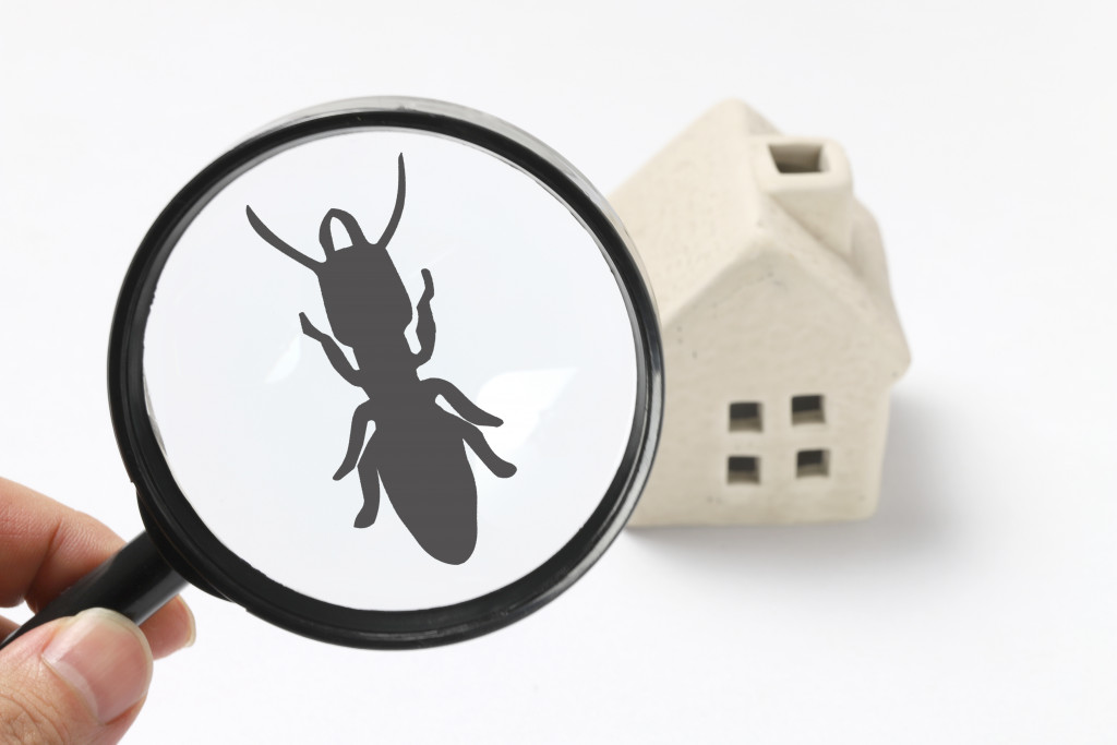 The Future Of Pest Control: Innovations On The Horizon