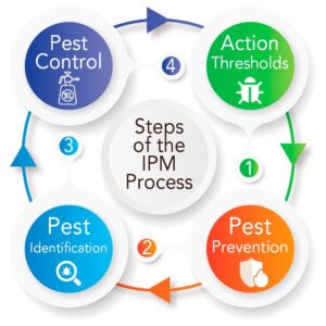 The Future Of Pest Control: Predictions And Trends