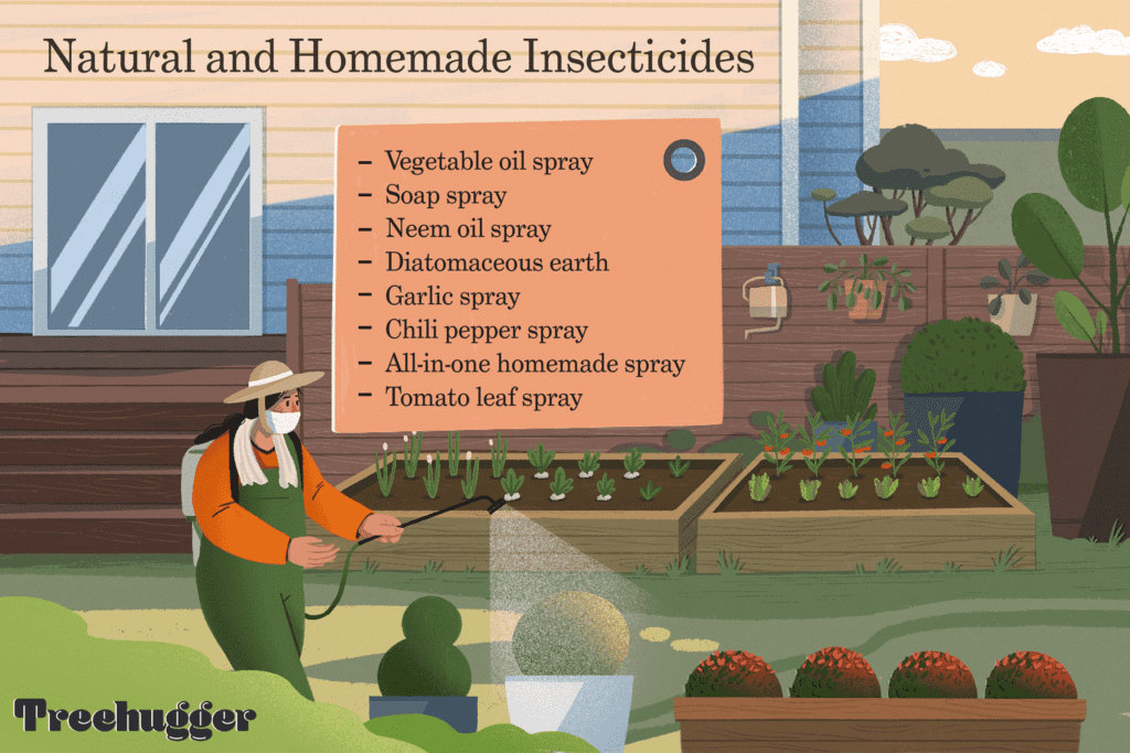 The Green Approach: Herbal Solutions For Pest Control