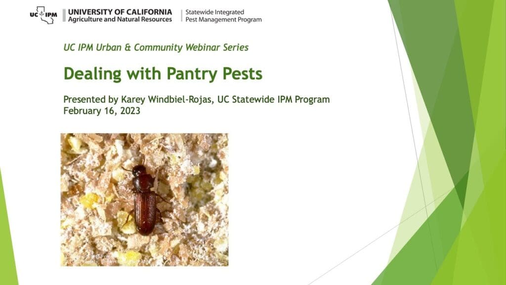 The Hidden World Of Pantry Pests: Prevention And Control