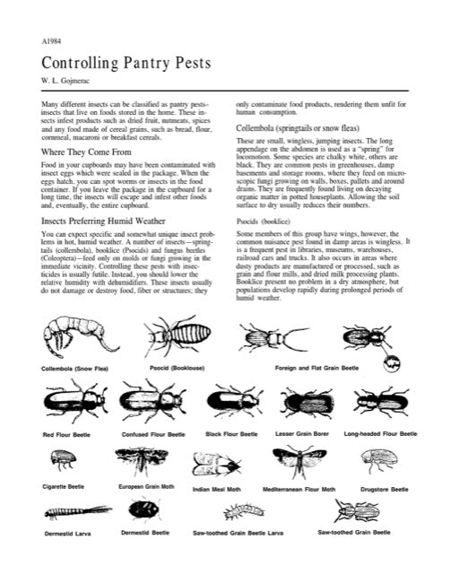 The Hidden World Of Pantry Pests: Prevention And Control