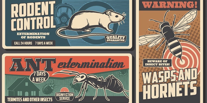 The Historical Evolution Of Pest Control Methods