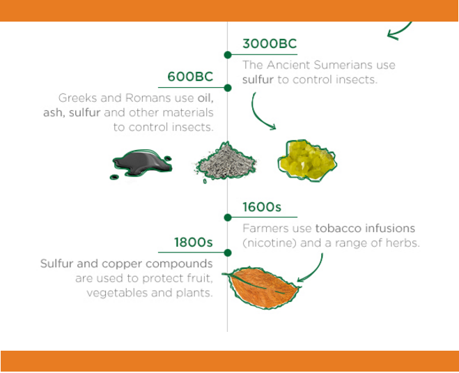 The Historical Evolution Of Pest Control Methods