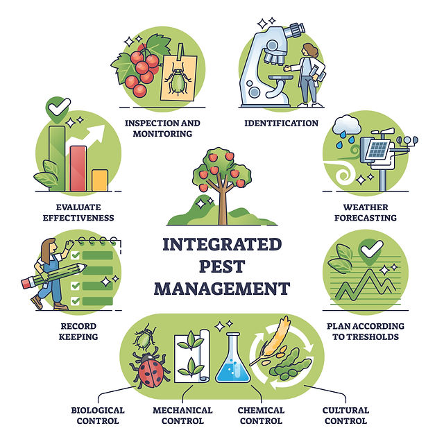 The Historical Evolution Of Pest Control Methods