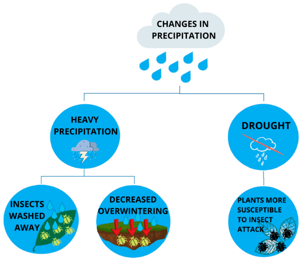 The Impact Of Climate Change On Pest Populations