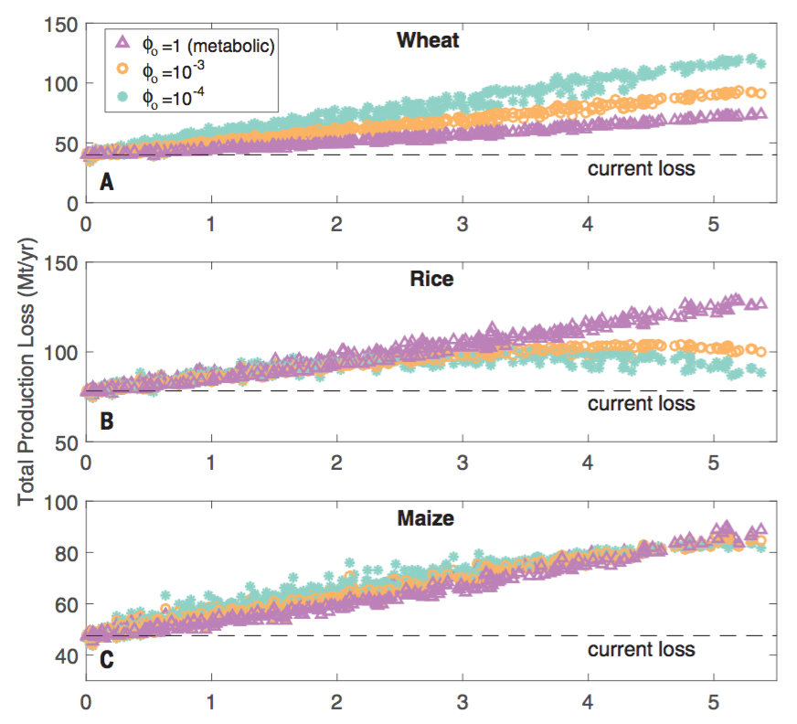 The Impact Of Pests On Crop Yields