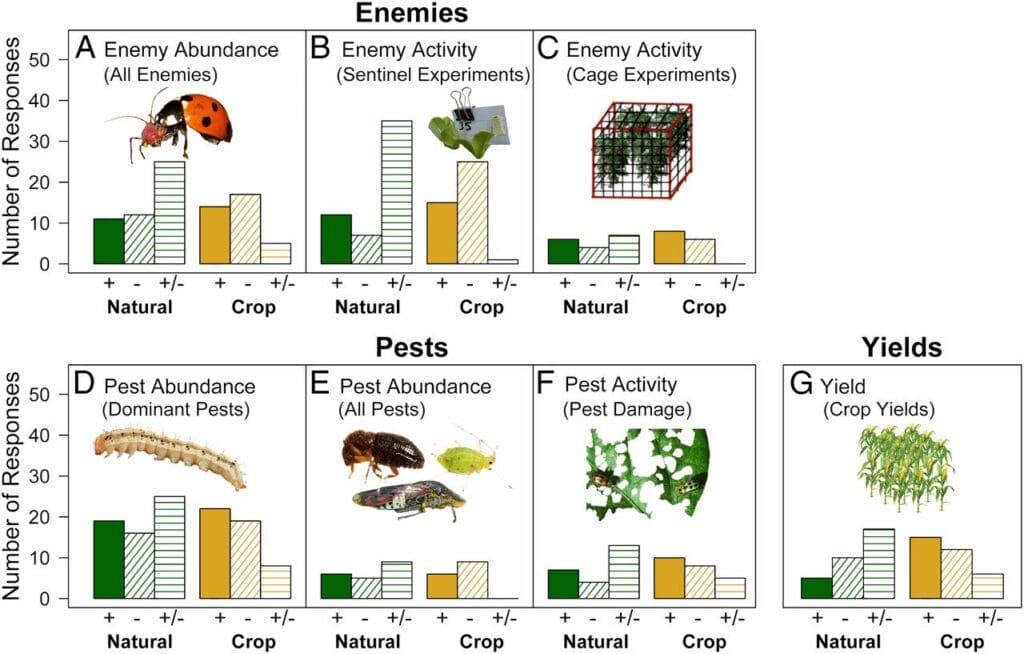 The Impact Of Pests On Crop Yields