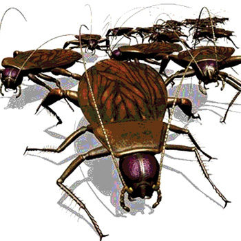 The Impact Of Pests On Food Safety