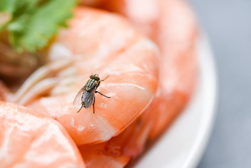 The Impact Of Pests On Food Safety