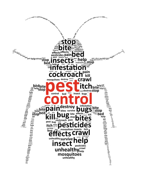 The Impact Of Pests On Food Safety