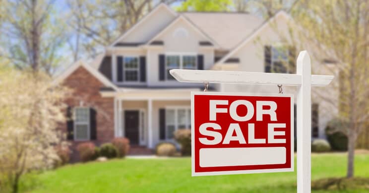 The Impact Of Pests On Real Estate Value