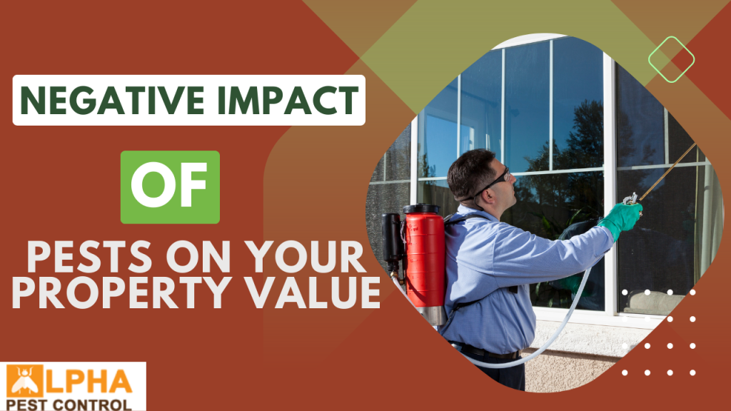 The Impact Of Pests On Real Estate Value