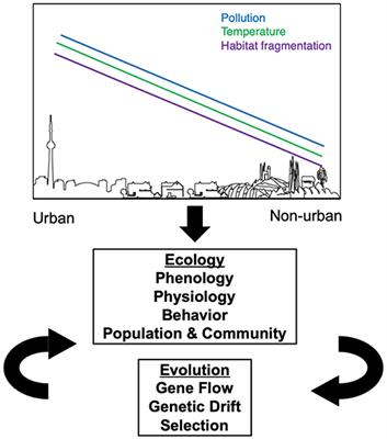 The Impact Of Urbanization On Pest Behavior