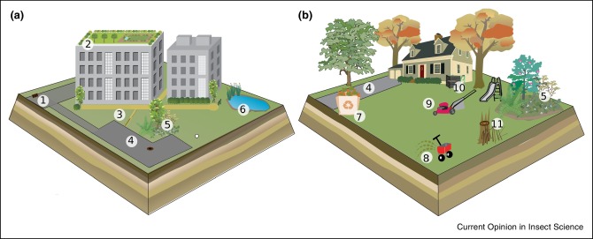 The Impact Of Urbanization On Pest Behavior