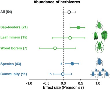 The Impact Of Urbanization On Pest Behavior