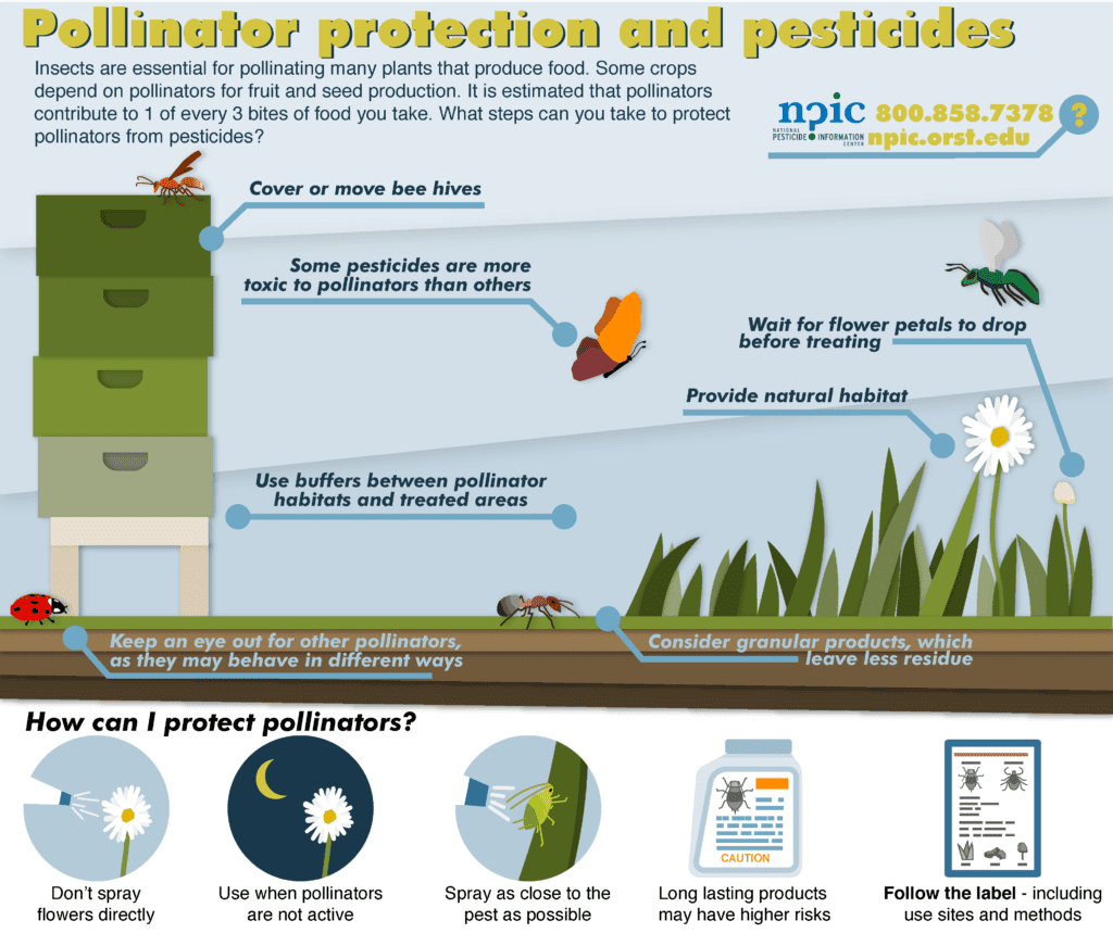 The Importance Of Bee Conservation In Pest Control