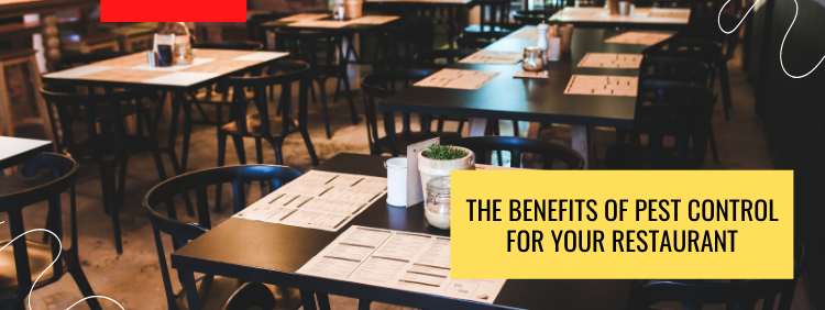 The Importance Of Regular Pest Control In Restaurants